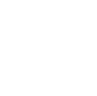Logo Trittbrett