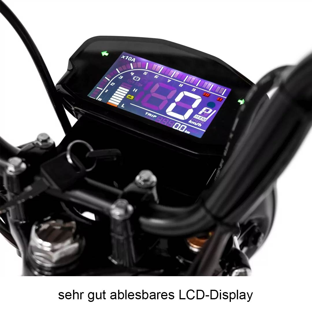 012-mopedix-electrix-eroller-display